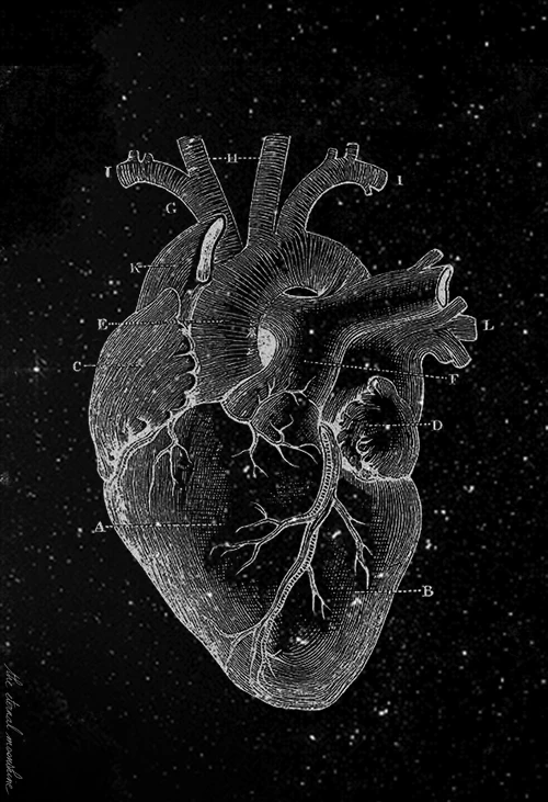 Is "follow your heart"another bullsh** affirmation