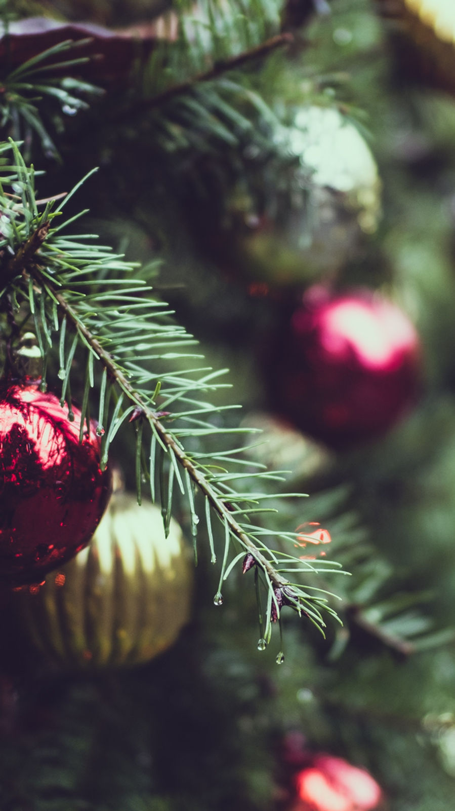 Ceremonial Christmas Gift Guide