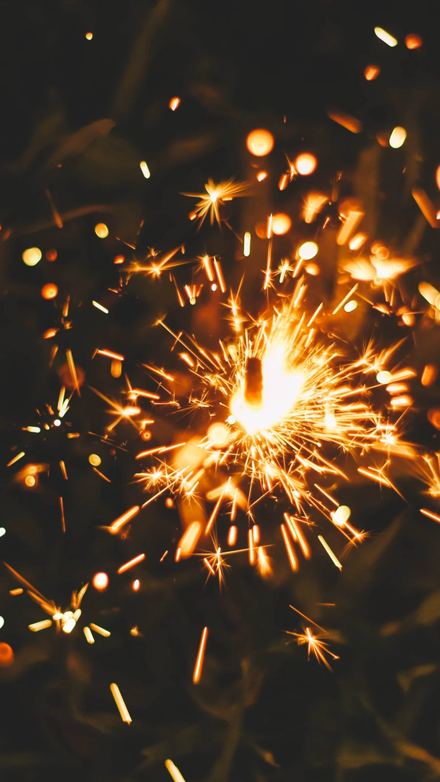 Saying Goodbye to 2020 with a Grateful Open Heart