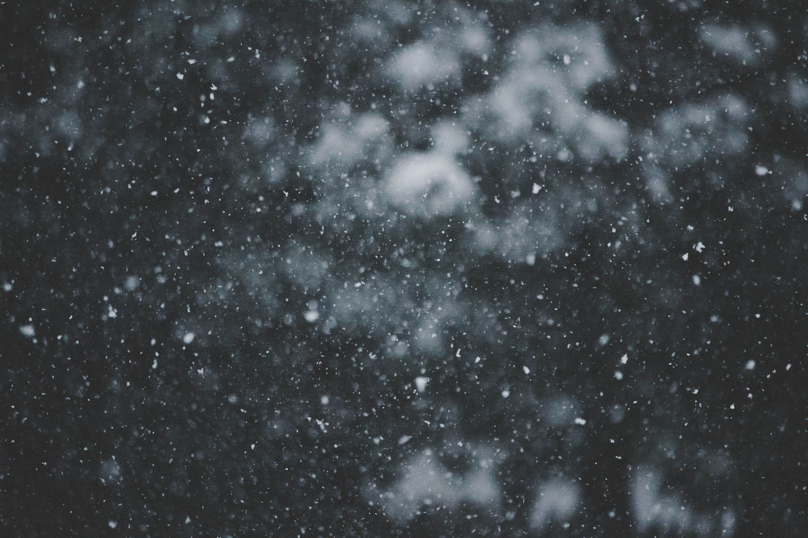 NOURISHED - Your Monthly Ceremony During the Dark Season